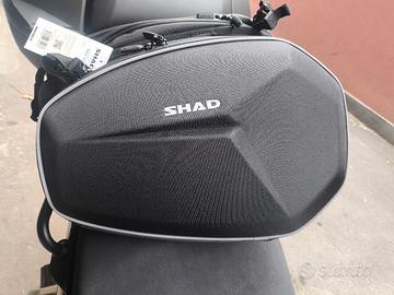 borse semirigide shad