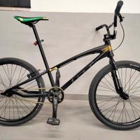 Bmx Cruiser GT