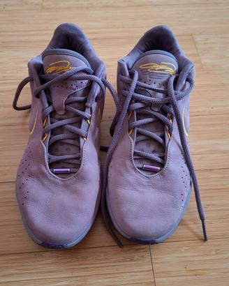 Nike Lebron 21 Purple Rain