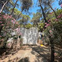 Monolocale 2 posti 26/07 -02/08