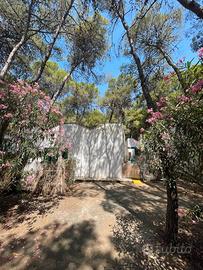 Monolocale 2 posti 26/07 -02/08