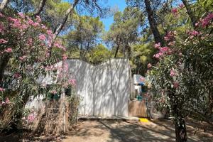 Monolocale 2 posti 26/07 -02/08