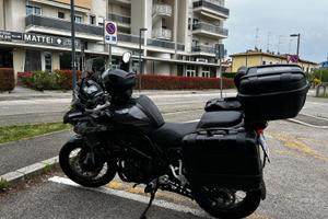 Beneli 502 x