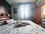 Immagine 12