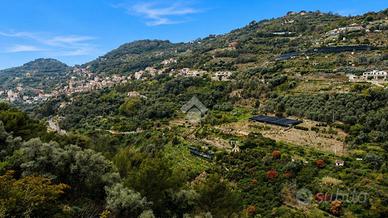 TER. AGRICOLO A VALLEBONA