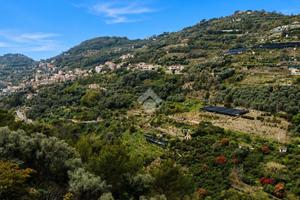 TER. AGRICOLO A VALLEBONA