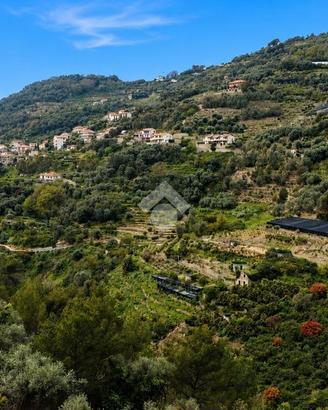 TER. AGRICOLO A VALLEBONA