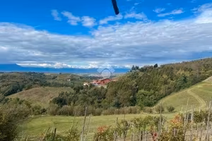 Vendita terreni agricoli nel cuore delle Langhe
