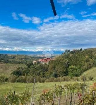 Vendita terreni agricoli nel cuore delle Langhe