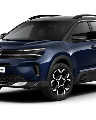 Musata e ricambi citroenn C5 aircross