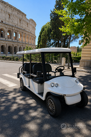 Melex 6 posti – Batteria nuova al litio