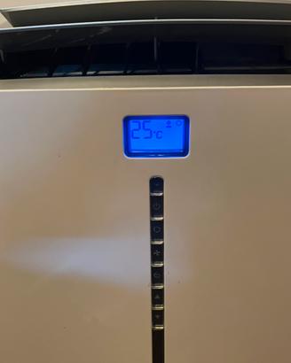 Climatizzatore