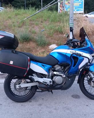 HONDA XL 650 V TRANSALP - ISCRITTA FMI