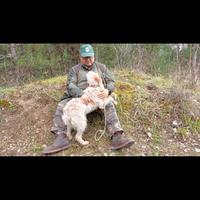 Addestramento cani da tartufo