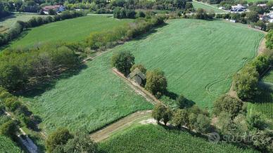 TER. AGRICOLO A VOLTA MANTOVANA