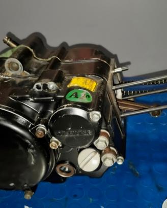 motore pit bike