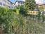 Immagine 15