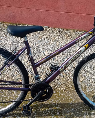 Bici da Ragazza modello shadow nuova