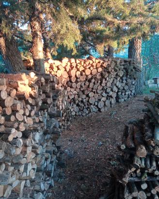 legna da ardere 