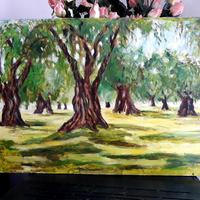 Oliveto, olio su faesite 50x70 