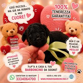 Cucciolo barboncino minitoy