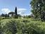 Immagine 9