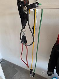 Elastici fitness