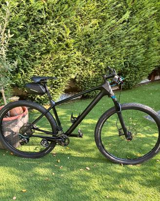 Mtb focus raven 29 in carbonio