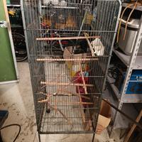 gabbia per uccelli o petauri