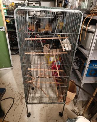 gabbia per uccelli o petauri