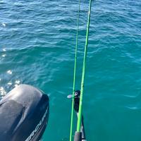 Canna da pesca