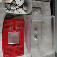 Acquario con conchiglie decorative e retina