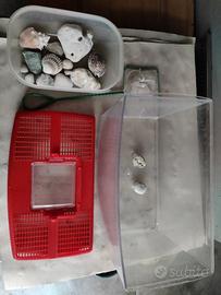 Acquario con conchiglie decorative e retina