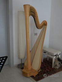 arpa Salvi Daphne 47 EX in perfetto stato