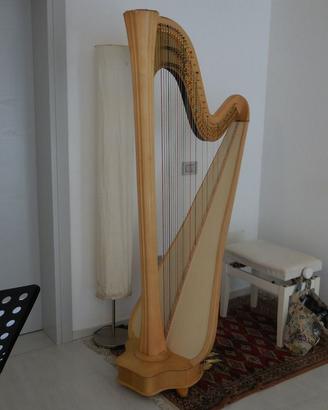 arpa Salvi Daphne 47 EX in perfetto stato