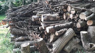 legna di acacia e di olmo da ardere