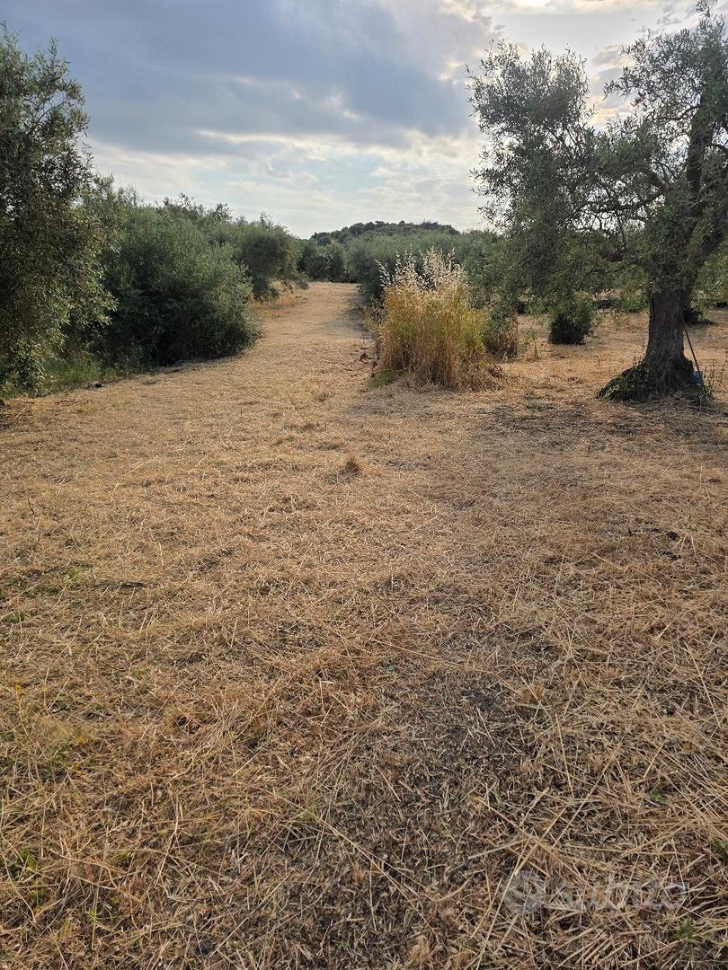 terreno agricolo tutto pianeggiante 4000 metri - Altro