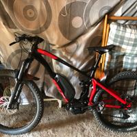 Bicicletta vilier pedalata assistita