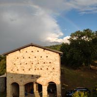 Custode.autista. full time