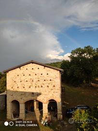 Custode.autista. full time