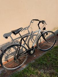 Bicicletta da passeggio