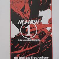 Bleach n.1