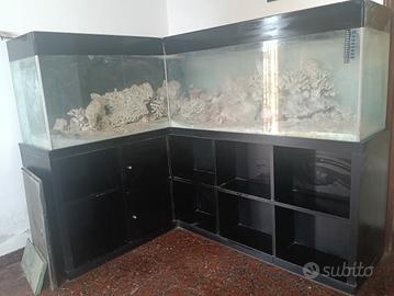 Acquario d'acqua salata