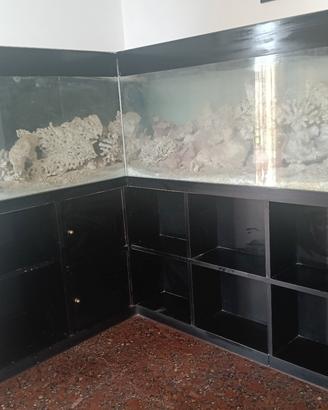 Acquario d'acqua salata