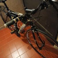 bici gravell ferrini tg-s