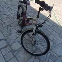 cyti bike donna