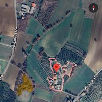 Terreno agricolo e uliveto