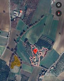 Terreno agricolo e uliveto