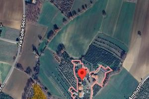 Terreno agricolo e uliveto