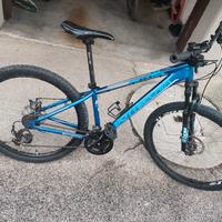 bicicletta mountain bike